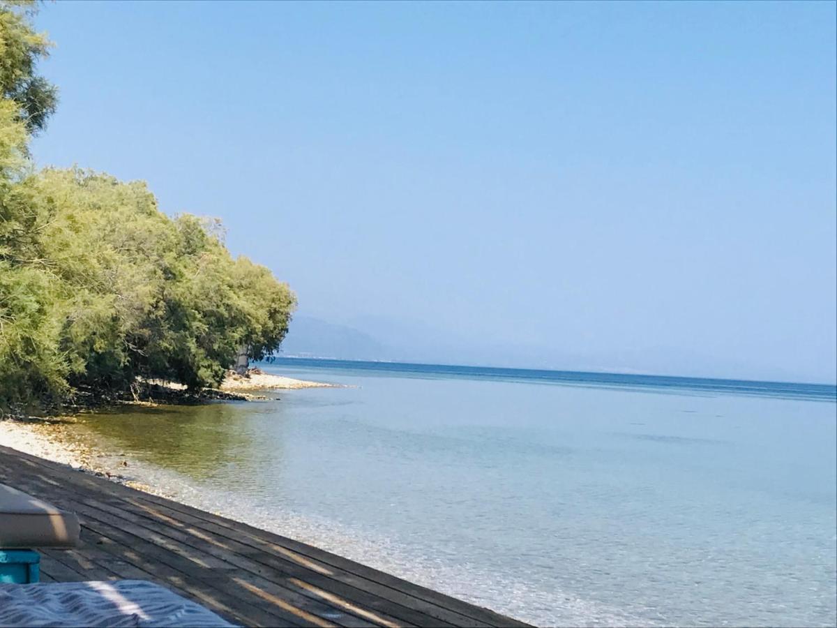 Sea La Vie